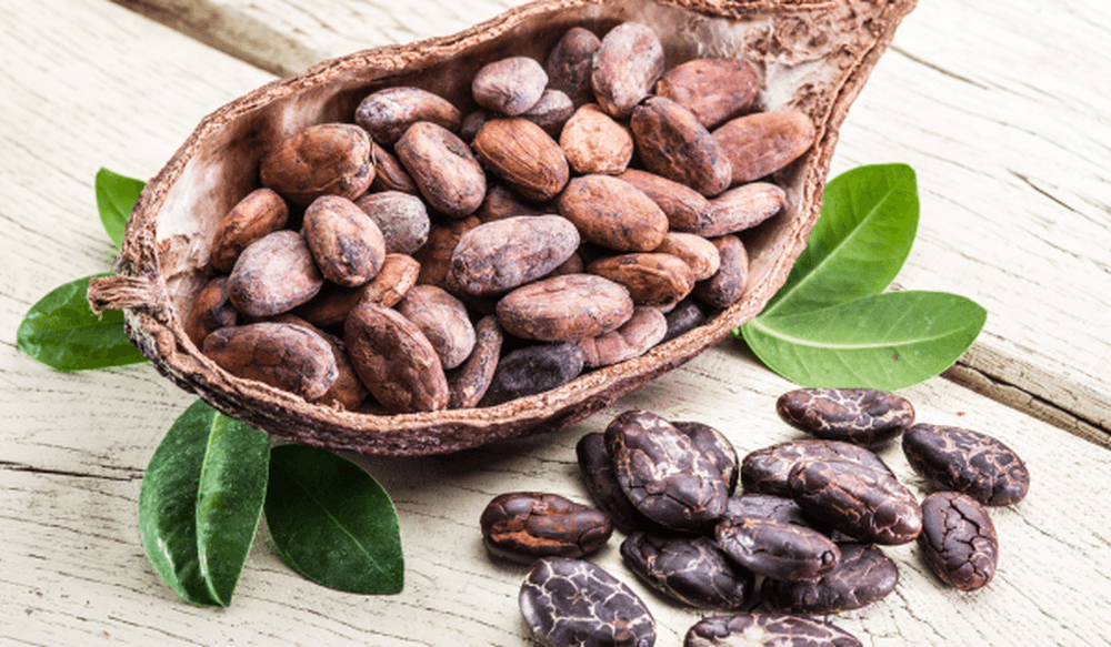 cacao