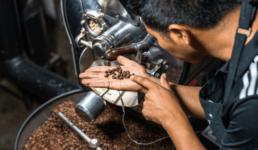 coffee production