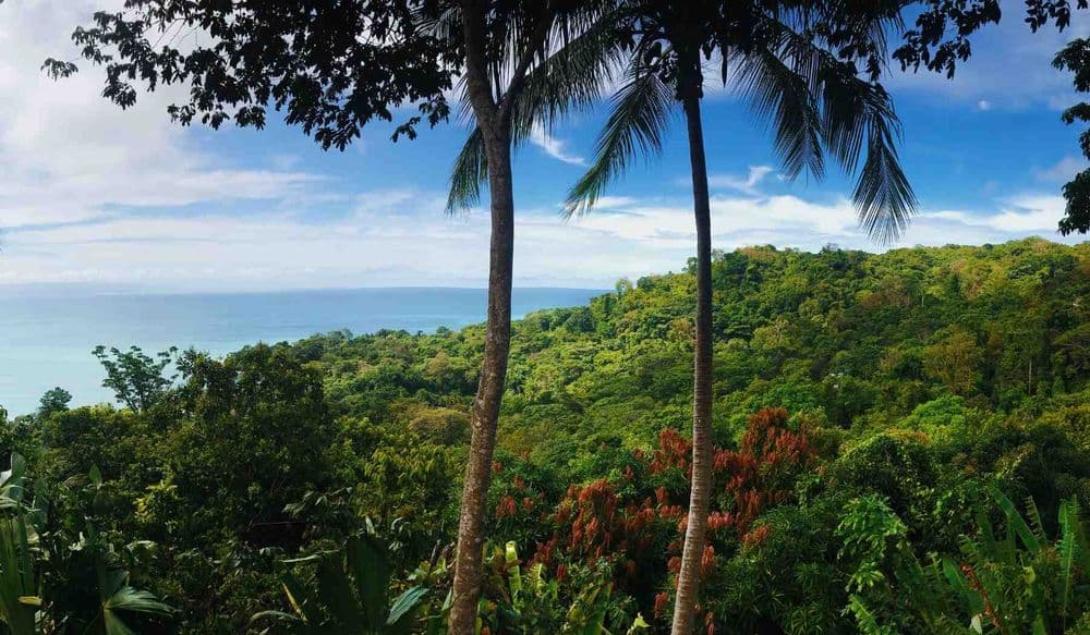 costa-rica-krebs