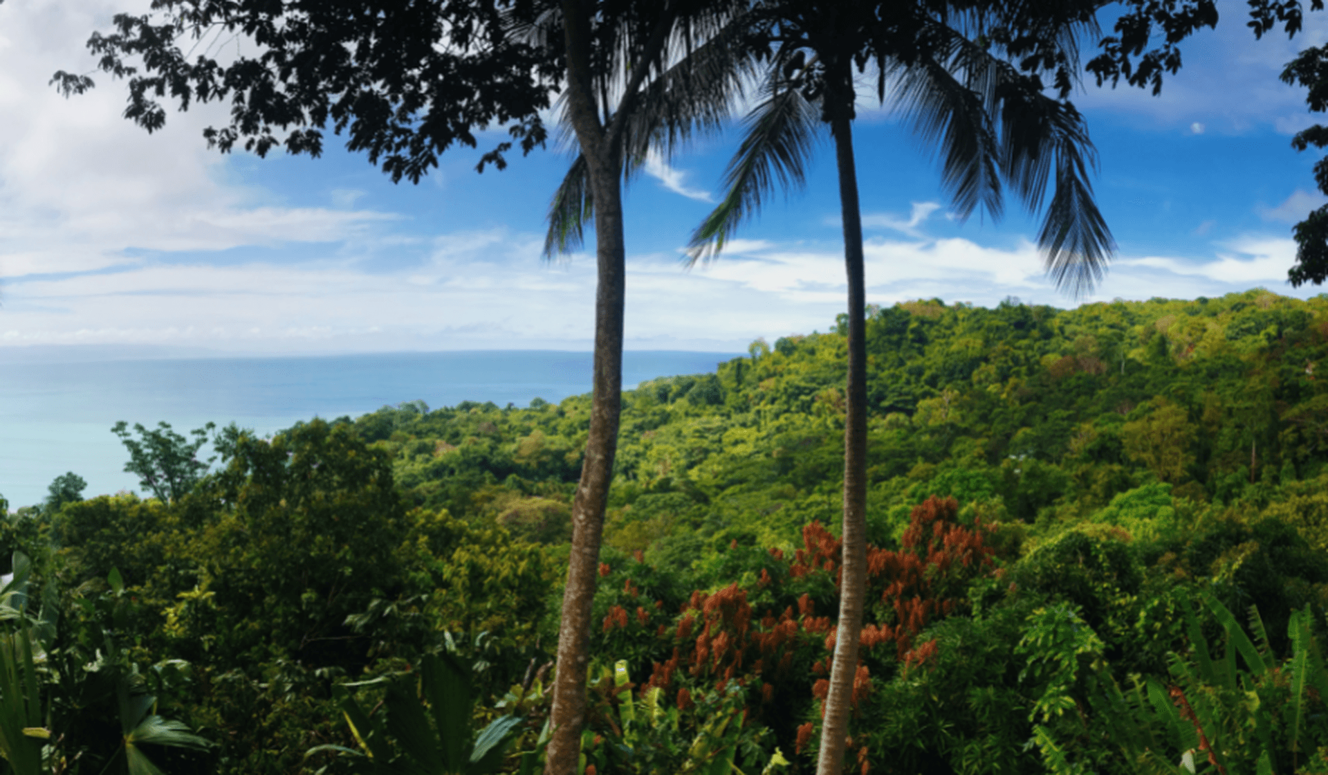 Zwischen Vulkanen und Baumwipfeln – Perspektivenwechsel in Costa Rica