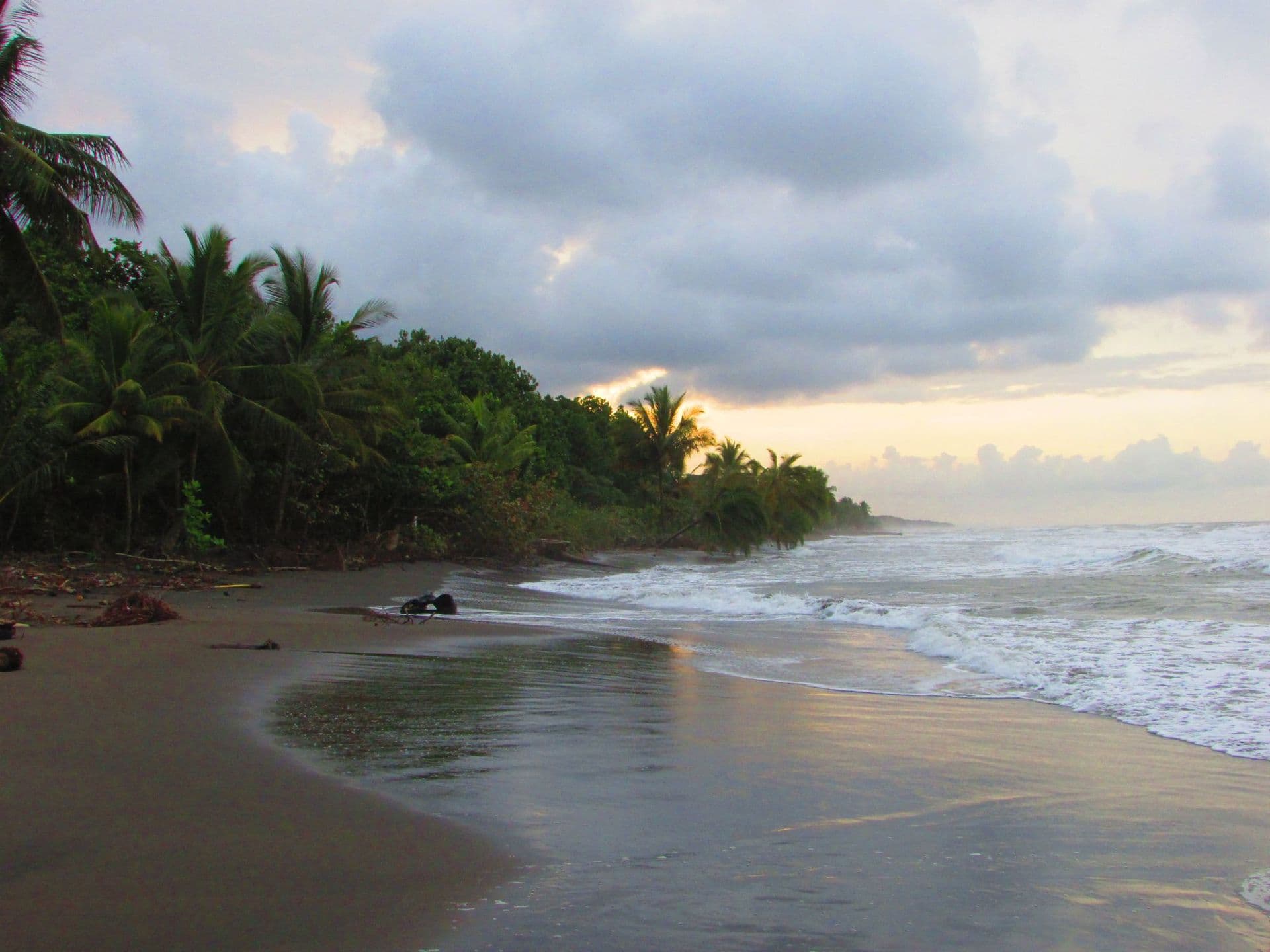 Fünf Tage im Herzen des Tortuguero-Nationalparks