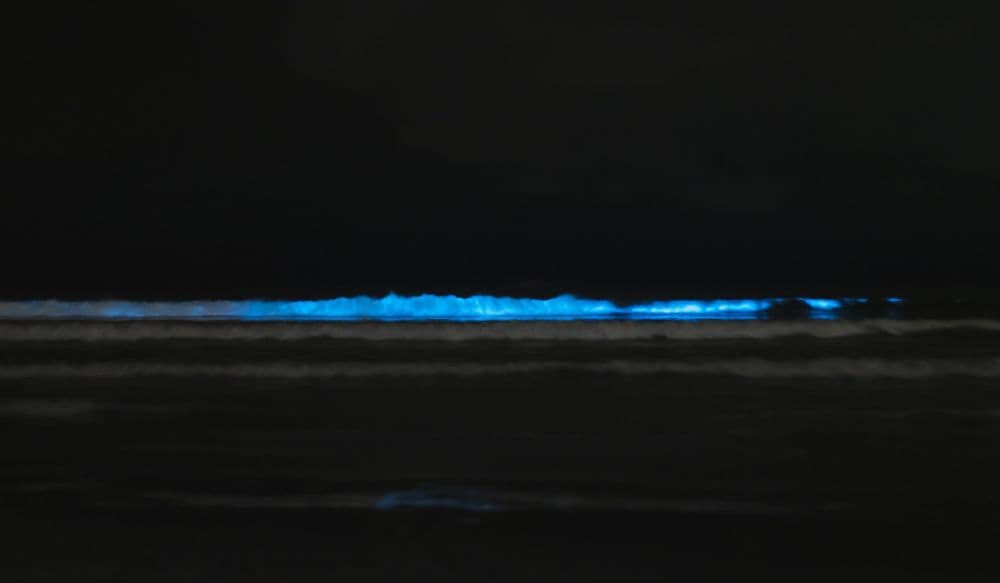 highlights yucatan halbinsel