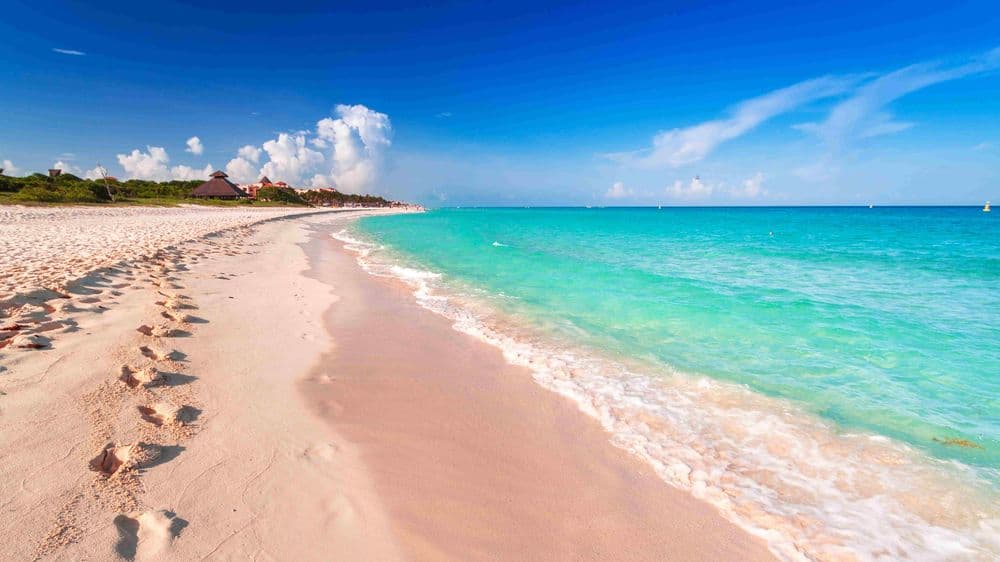 2-May-17-2022-08-54-17-02-AM