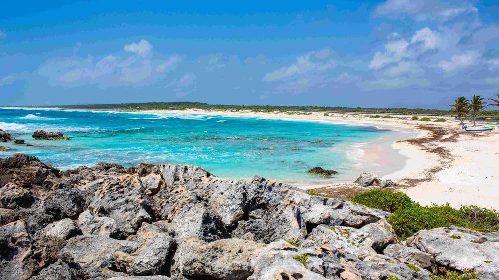 3-May-17-2022-08-35-21-42-AM