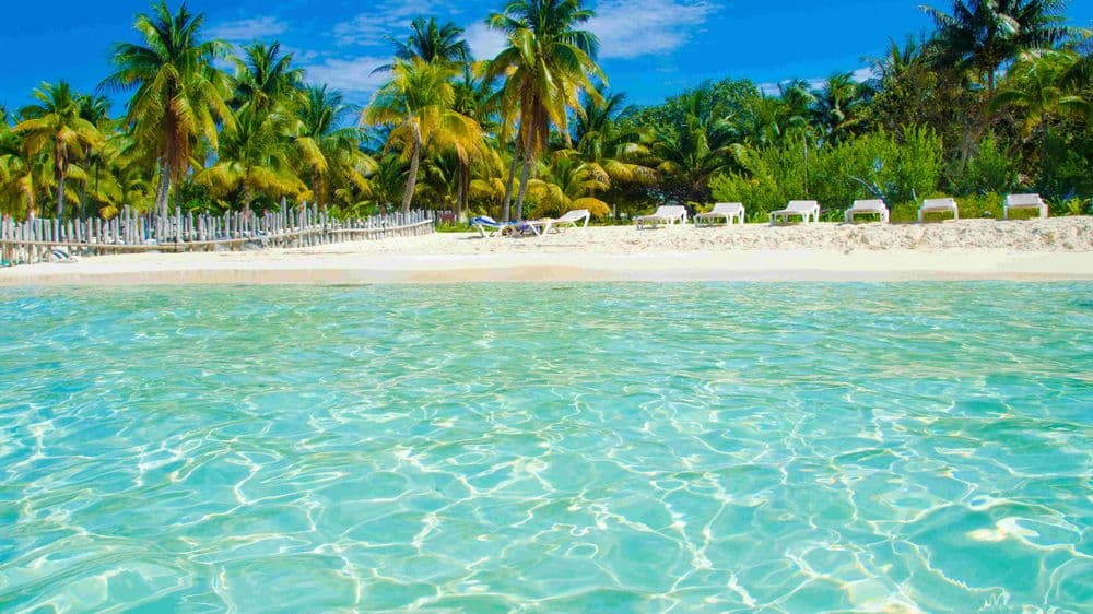 4-May-17-2022-08-35-13-32-AM