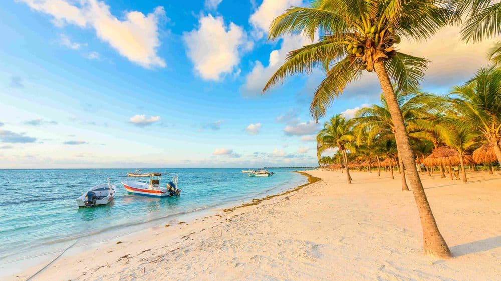 4-May-17-2022-08-47-23-16-AM