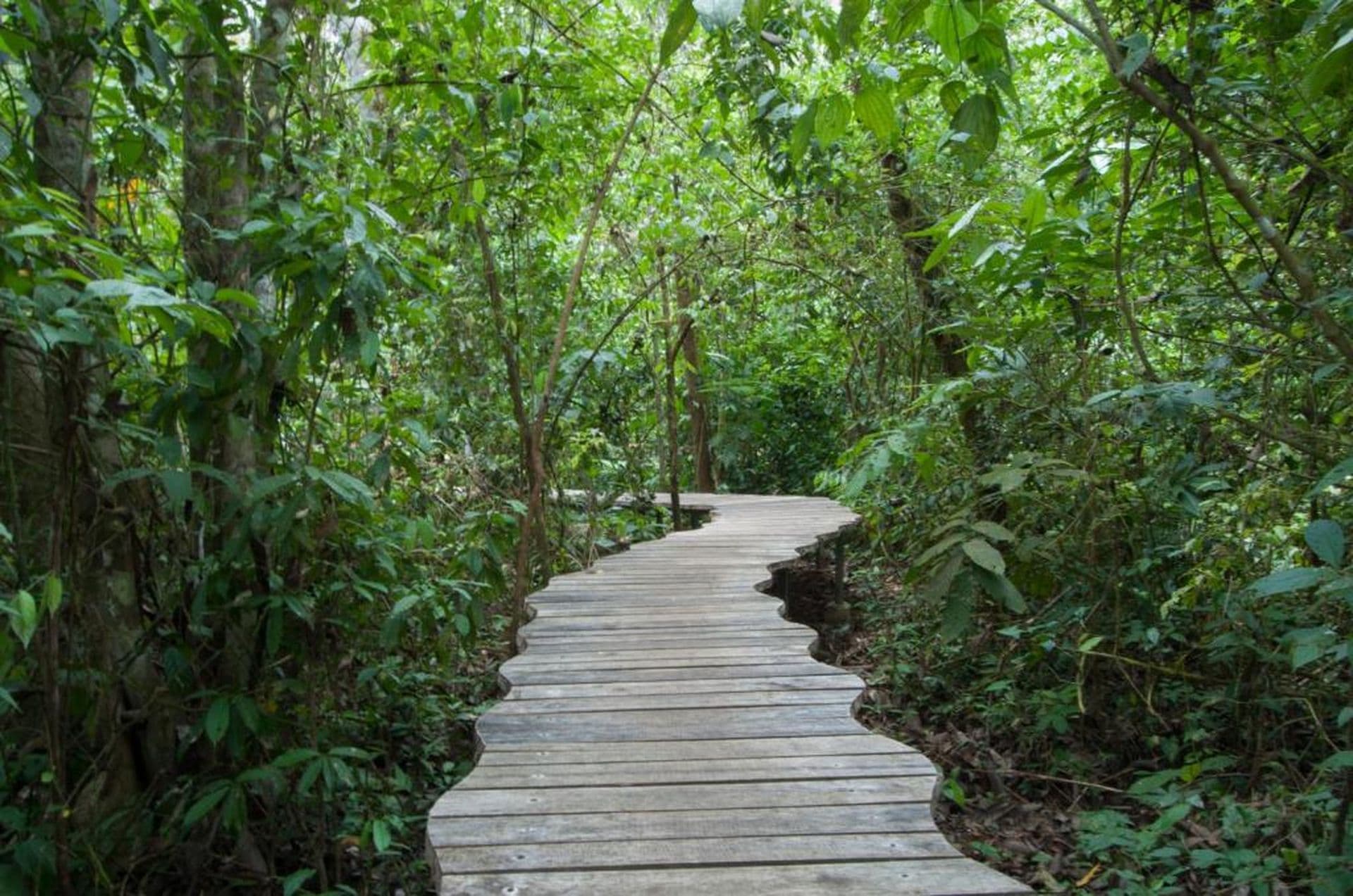 Danta Corcovado Lodge