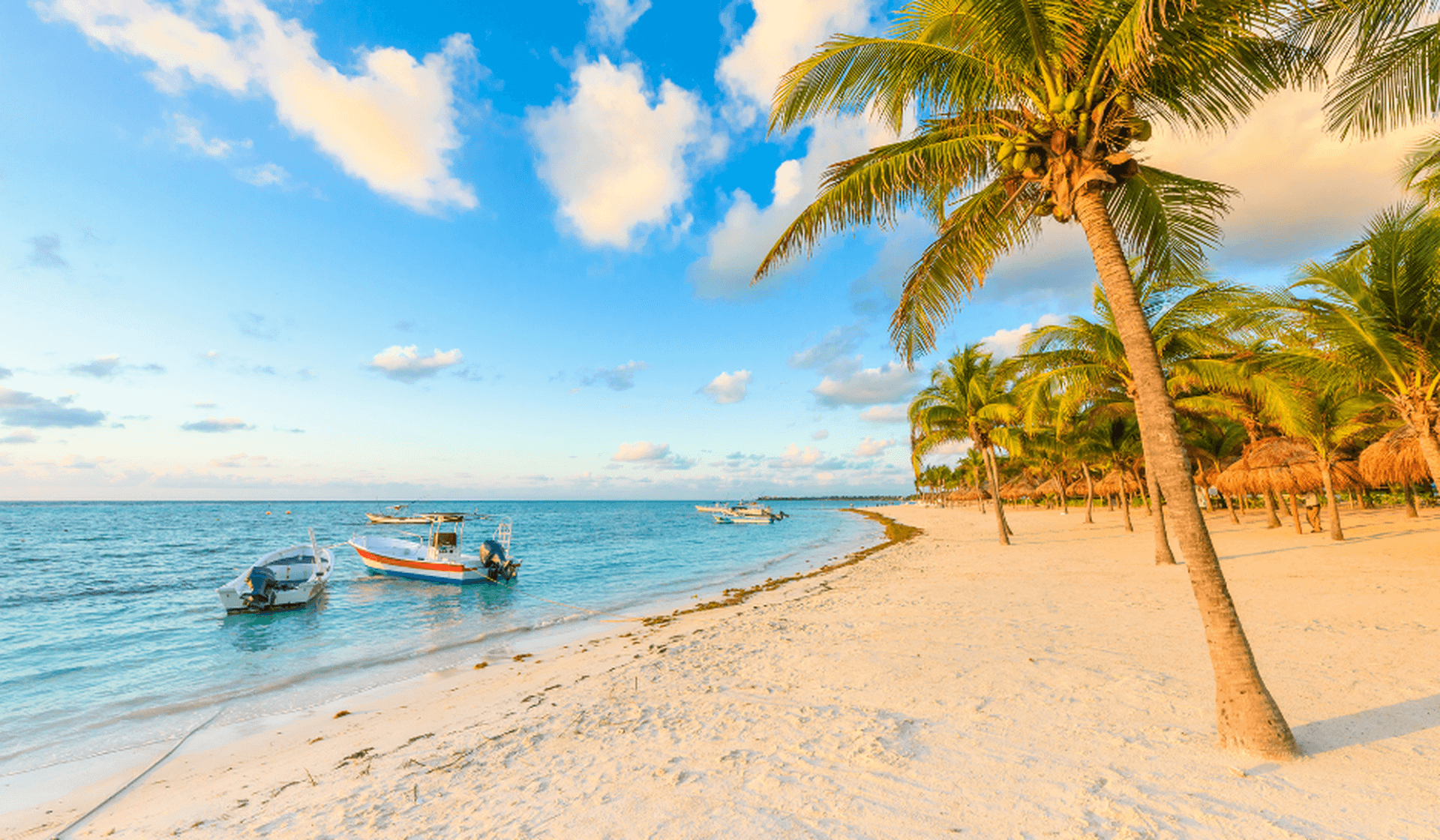 Von Panama nach Costa Rica – Höhepunkte an der Karibikküste