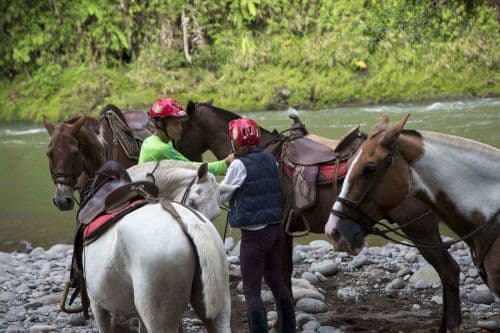 Pozo Azul Horses