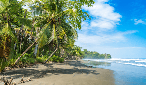 PUR_BLOG_10.25_CANVA_Playa Negra, Cahuita, Costa Rica