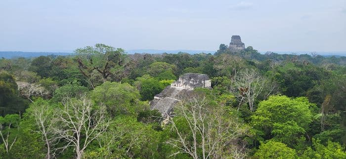 Tikal Flores Guatemala