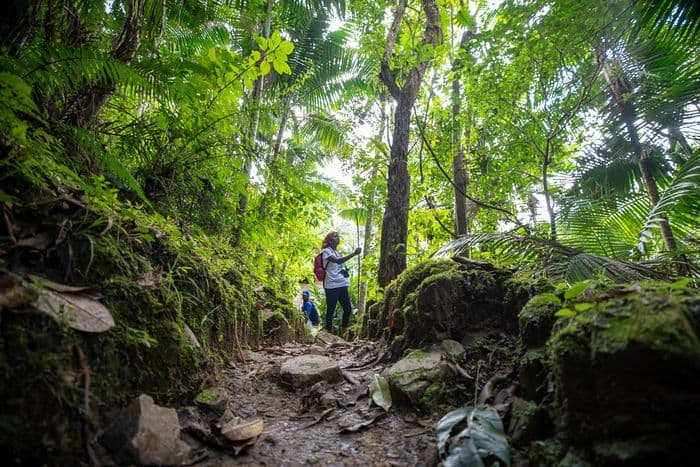 Sierra Maestra