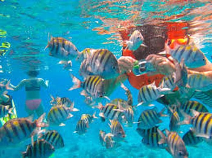 cozumel