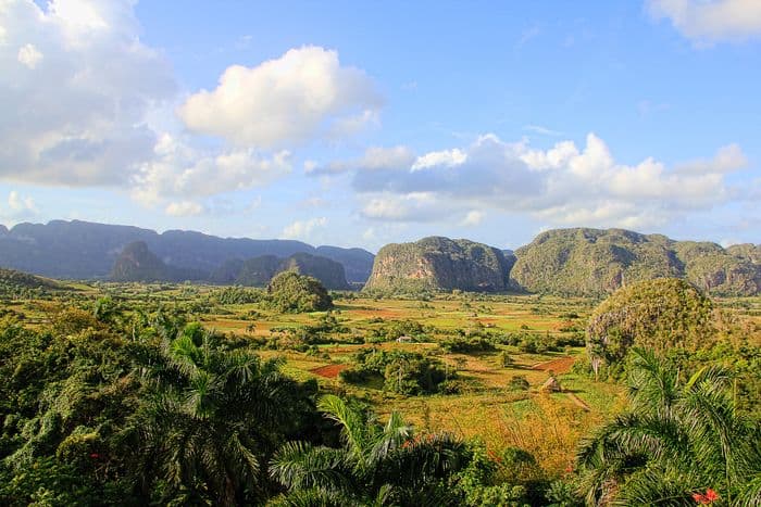 Vinales