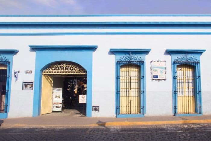 las mariposas